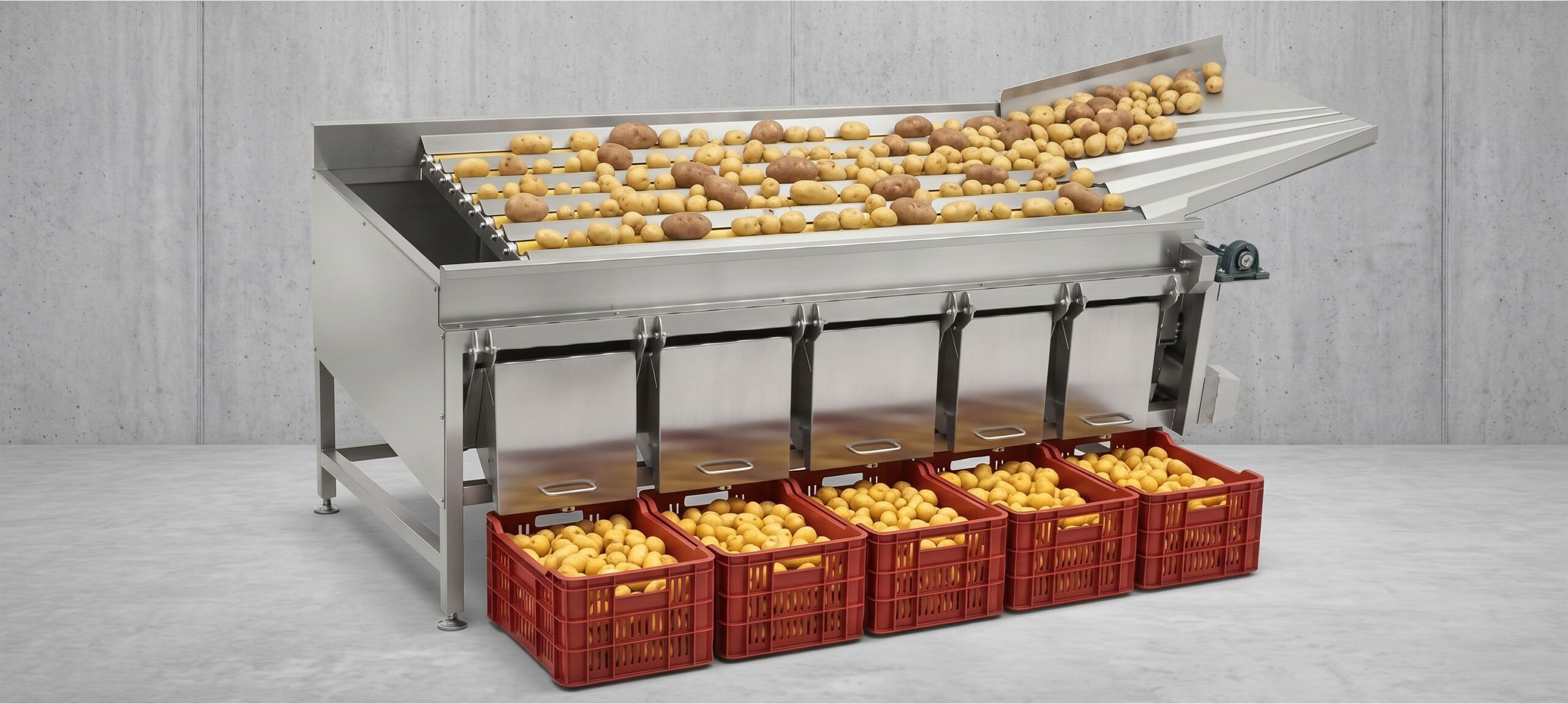 Equipo separador de papas por calibres Droma