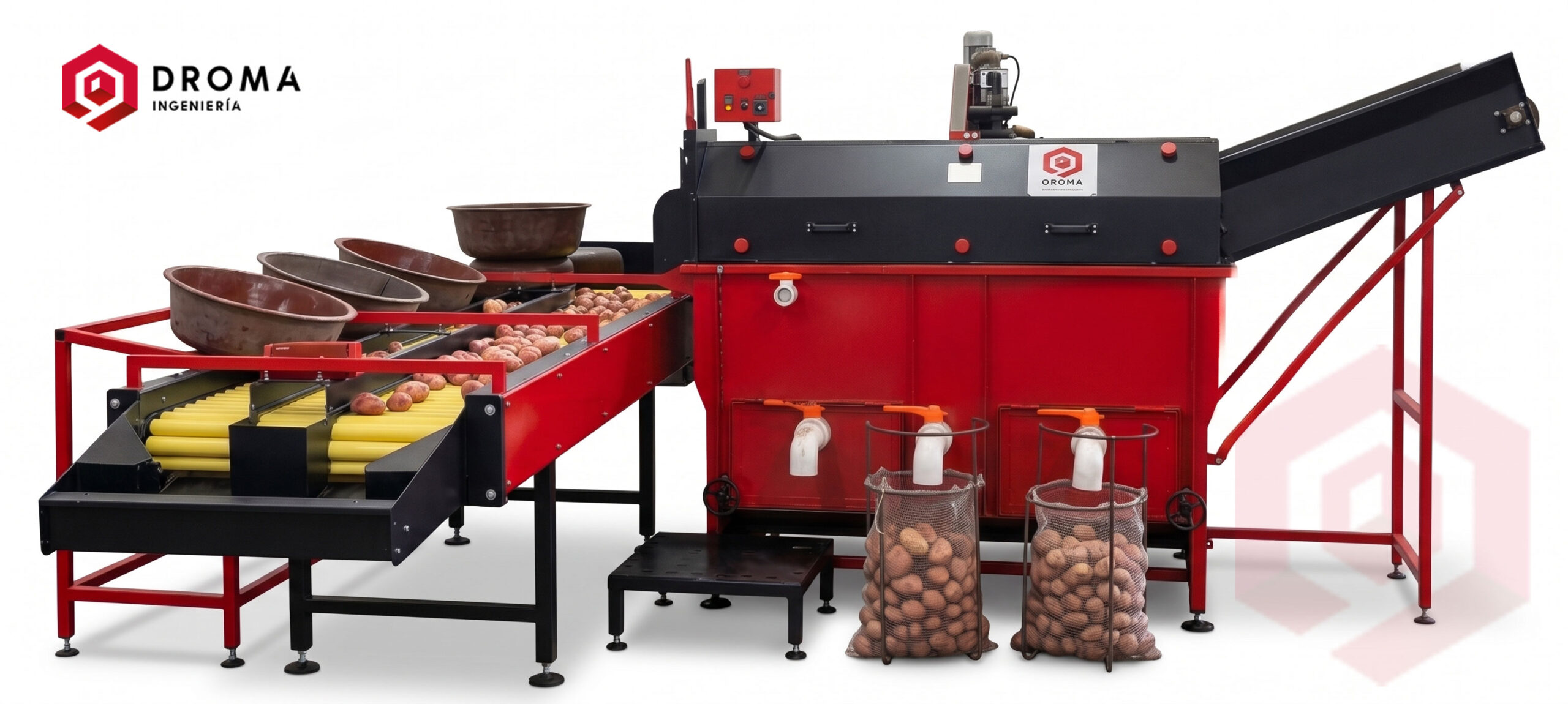 Lavadora de papa industrial 60 BH Droma Ingeniería