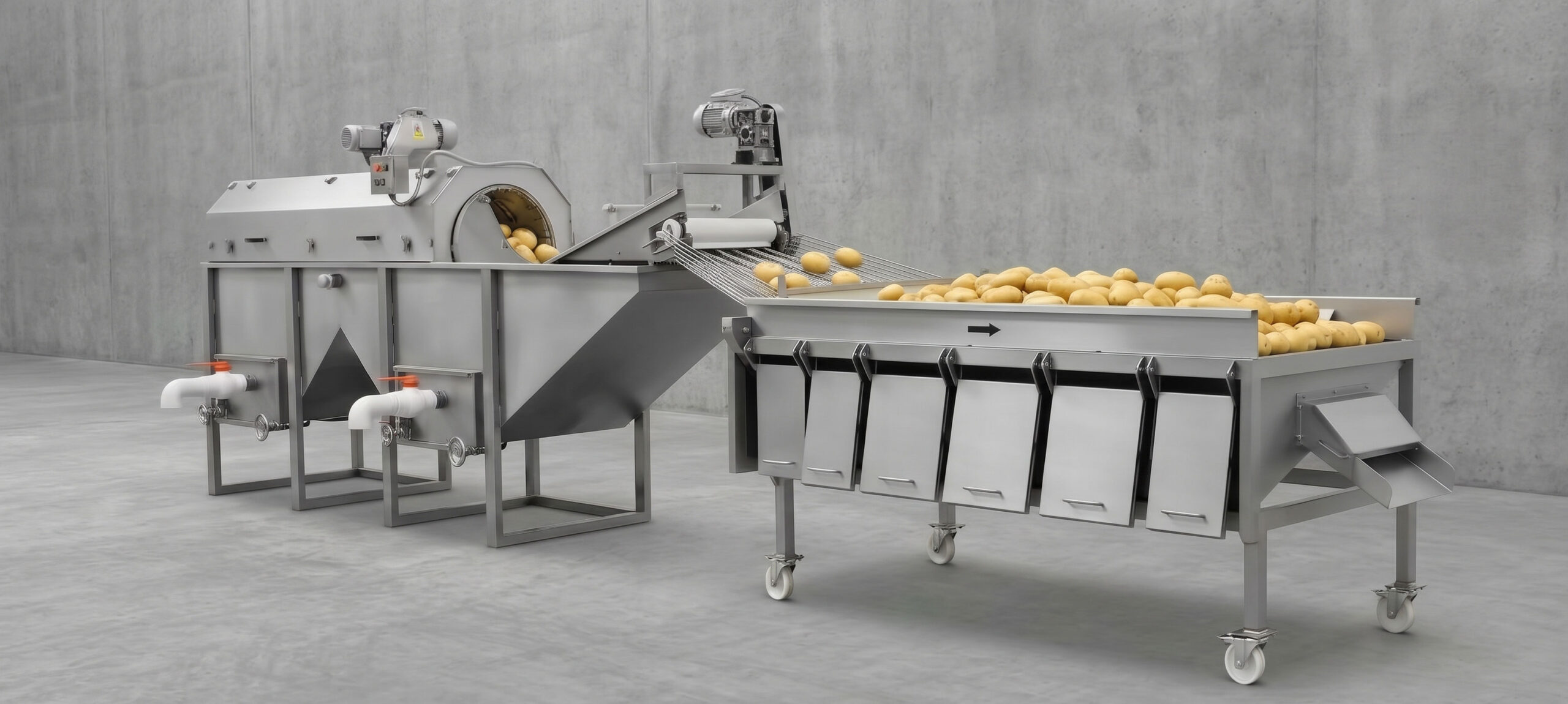 Máquina calibradora de papas industrial Bogotá